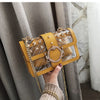 Transparent Jelly Clear bag 2